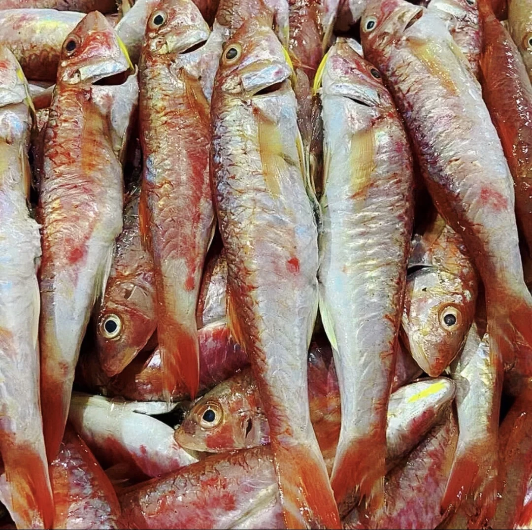 广东神泉本港新鲜野生红鱼，5 斤起拍 广东省内顺丰冷链包邮