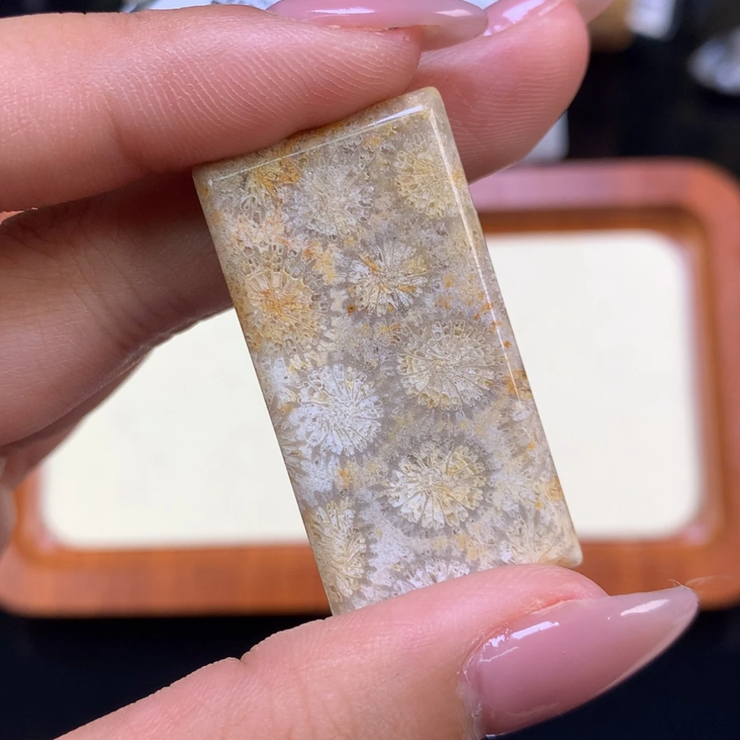 【闪购商品】颈饰未镶嵌硅化珊瑚（珊瑚玉）暖*