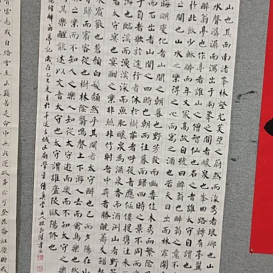 书法孙老师书法作品醉翁亭记