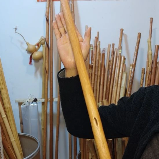 趙***順秦岭石山红荀子，牛筋木