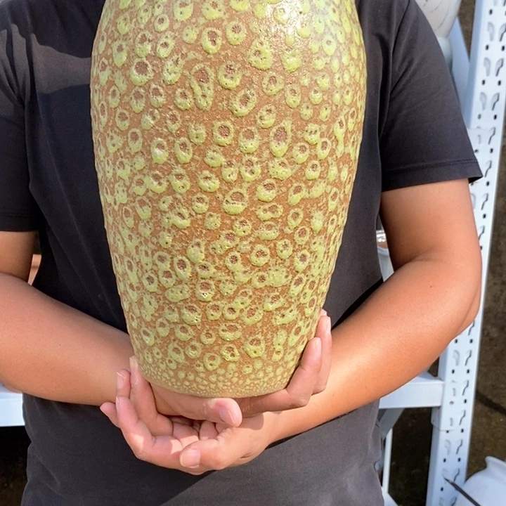 紫砂花盆口19高33福利