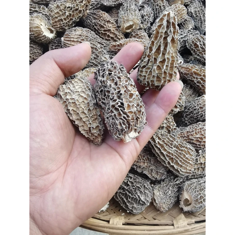 【羊肚菌】云南深山下山货自然晒干