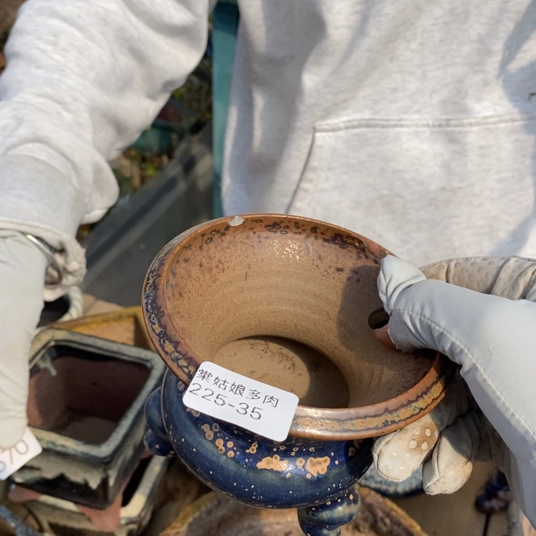红陶山**海35号链接一个
