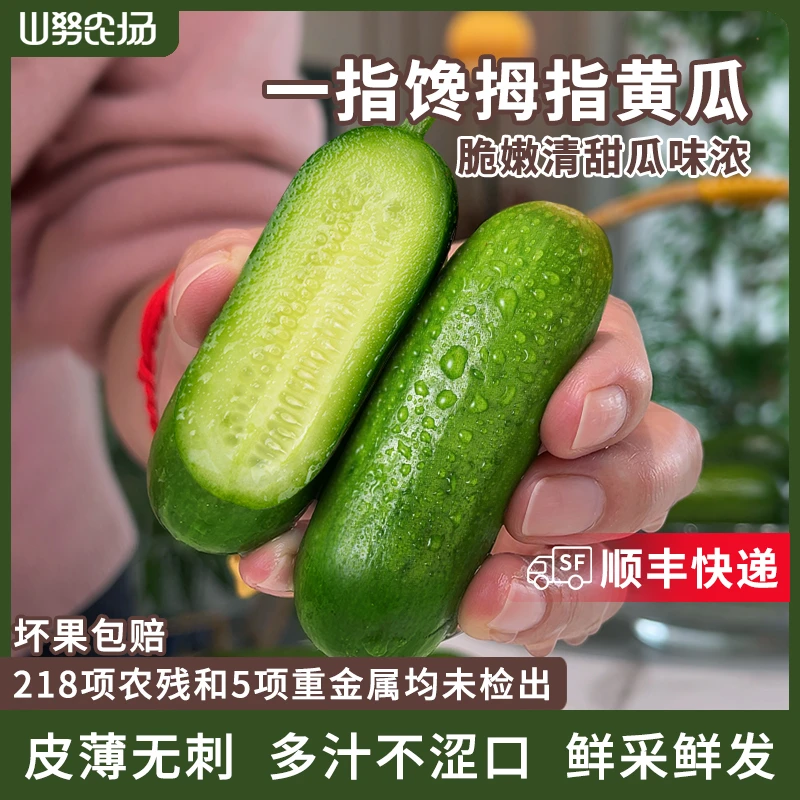 【顺丰】山努一指馋黄瓜新鲜脆嫩清甜水果零食生吃不涩口无刺拇指瓜