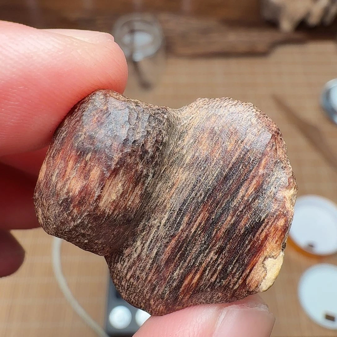 沉香海南红油大瓜子