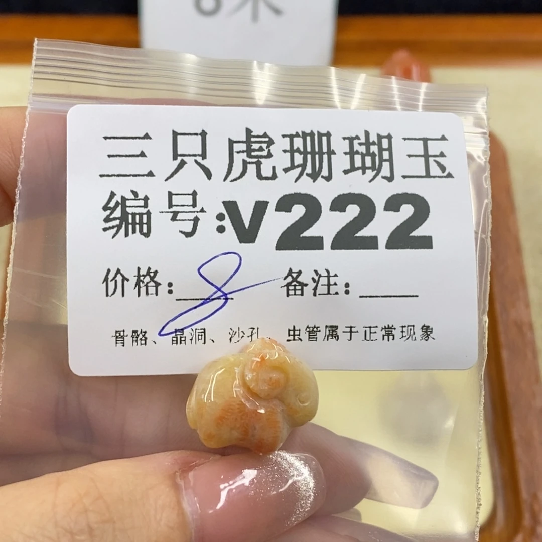 硅化珊瑚（珊瑚玉）未镶嵌1吃****哆