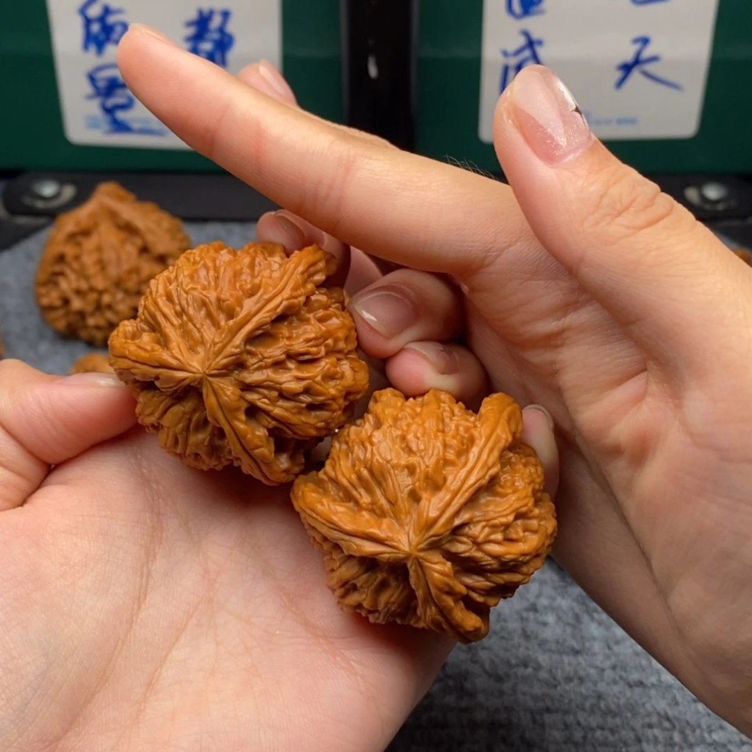 【闪购商品】诸**力白狮子1111111