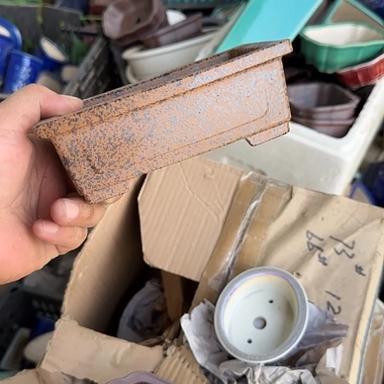 一哈来不急不快嘛亲爱你