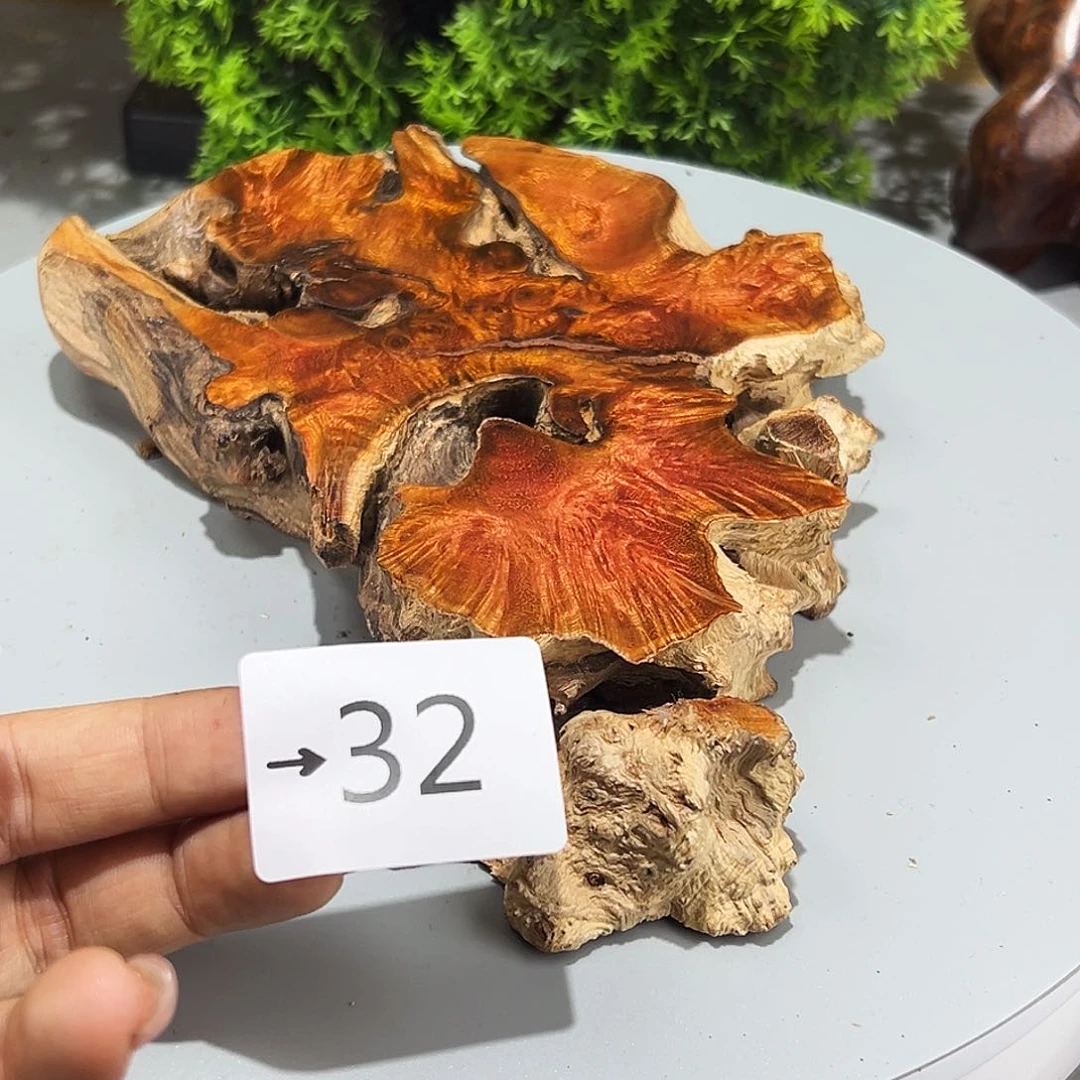 香榧木K**y火琉璃……火琉璃