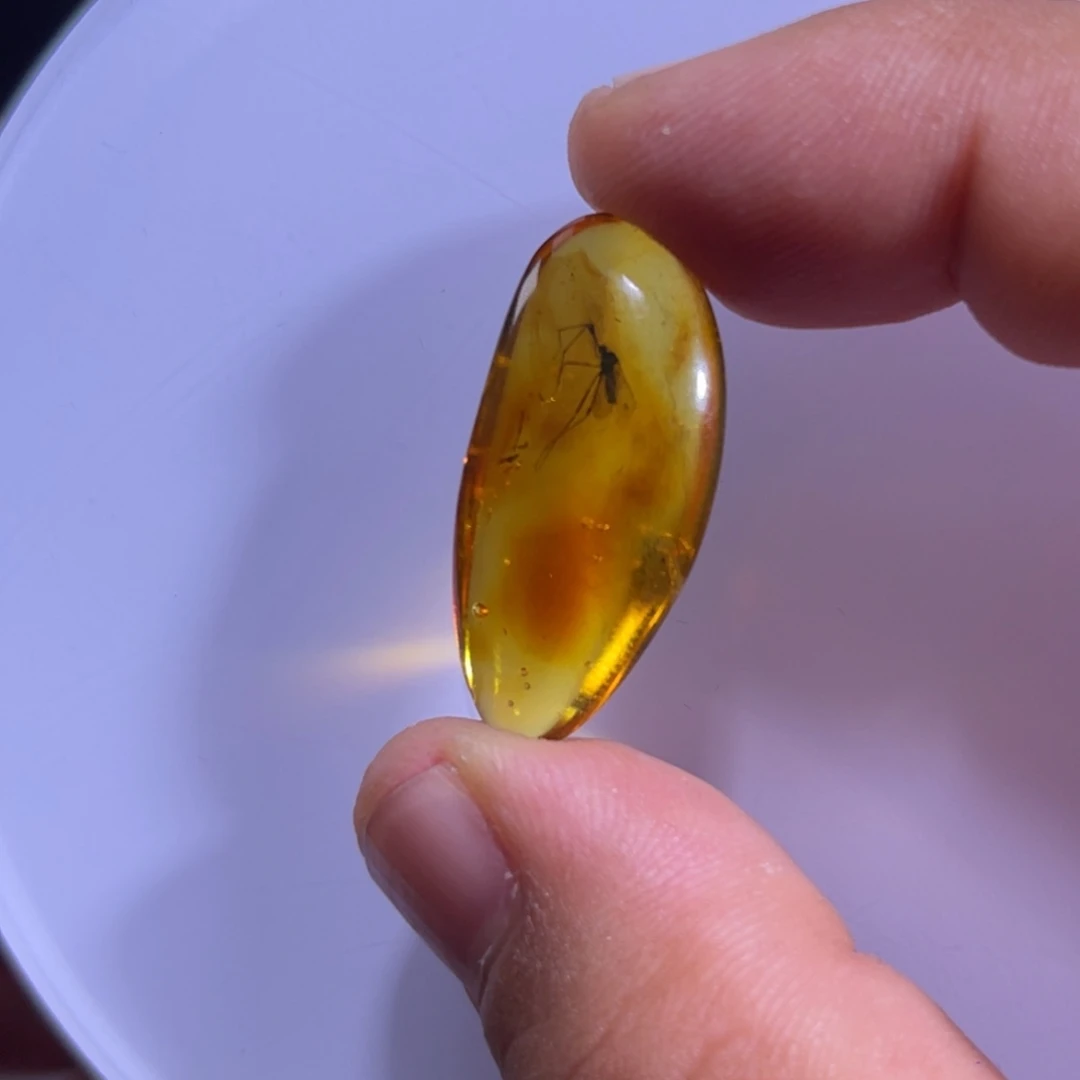 琥珀未镶嵌裸石特价虫珀