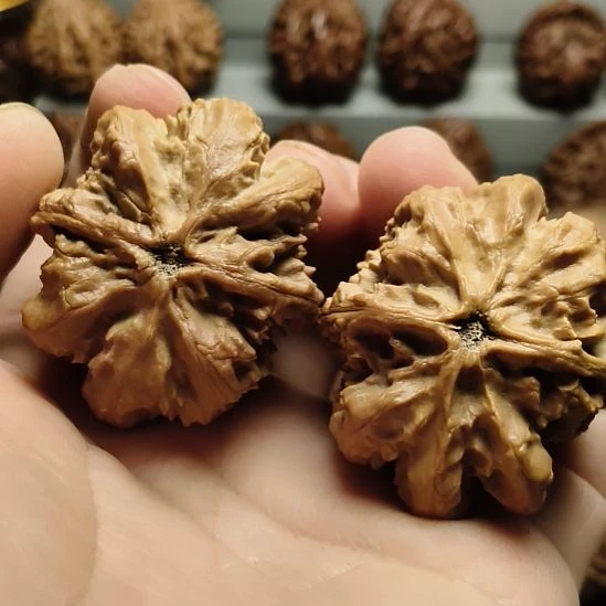 吊坠文玩核桃大楸核桃6号