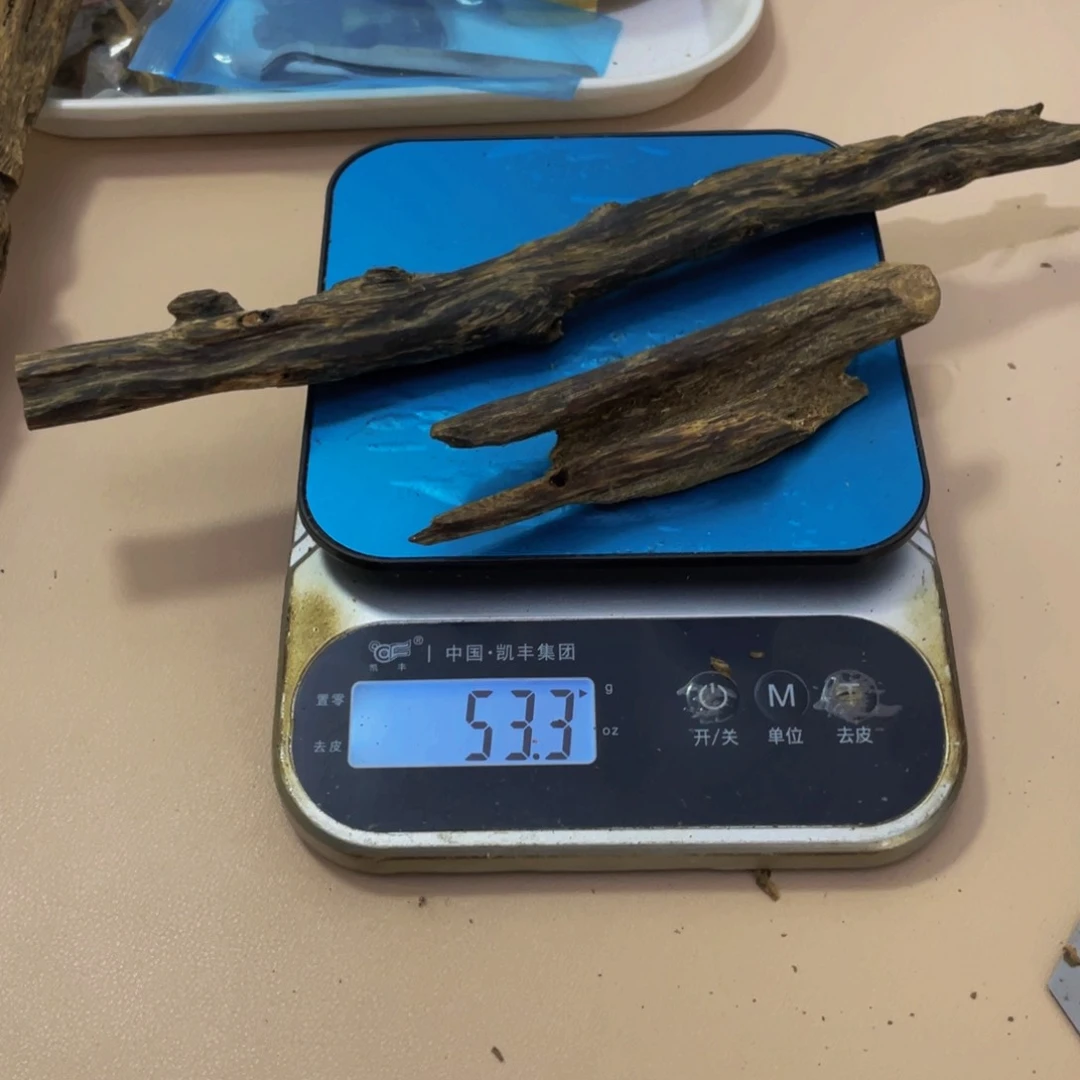 沉香木摆件布****叶黑棋和汝湖虫漏53克