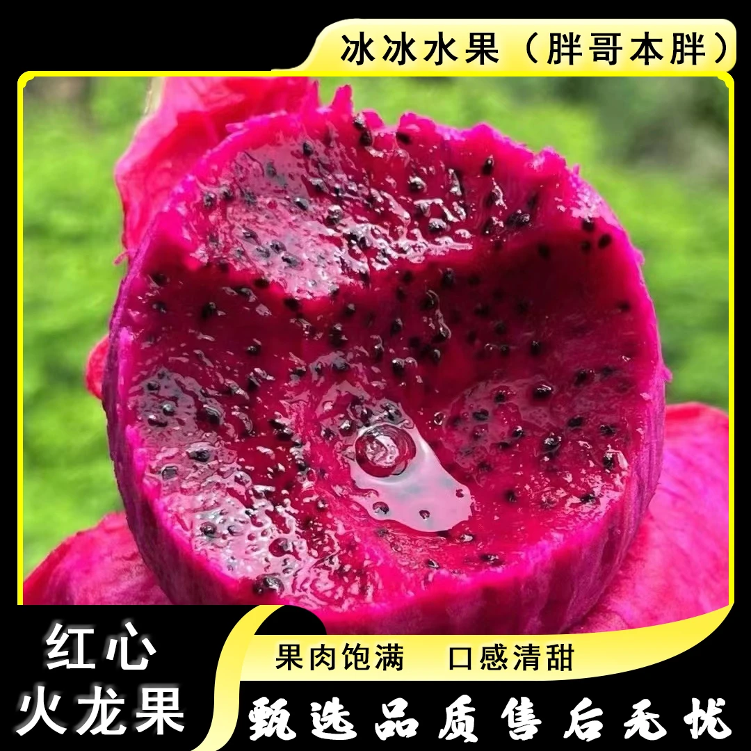 【散装】[N]50红心火龙果 份/5颗 仅限太原晋中吕梁忻州可拍