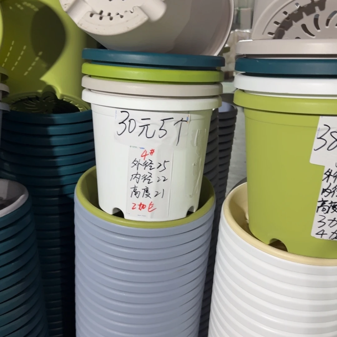 四季果绿色4号5个测孔2号果绿3个