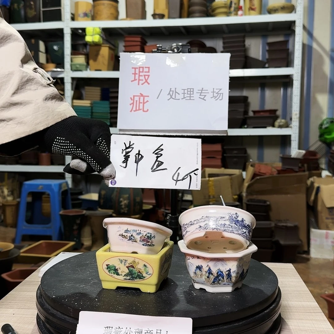 紫砂花盆哈哈这是我的新