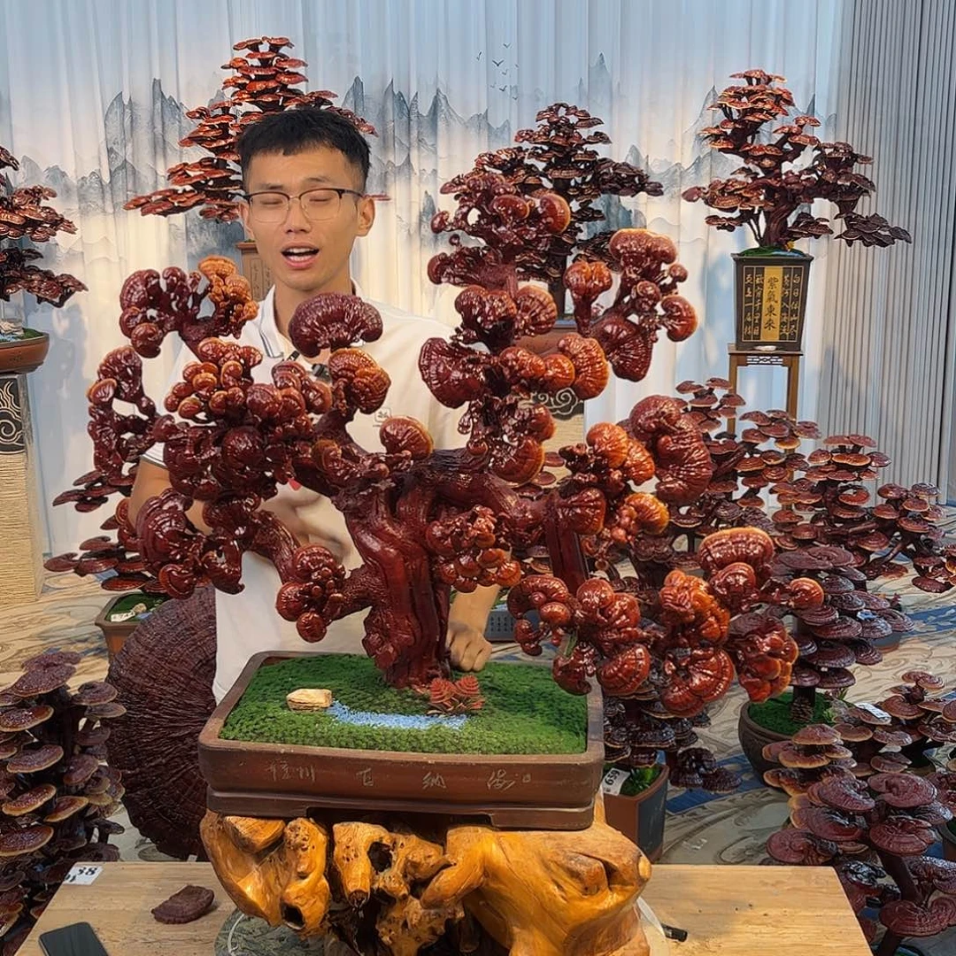 无花朵888888888888