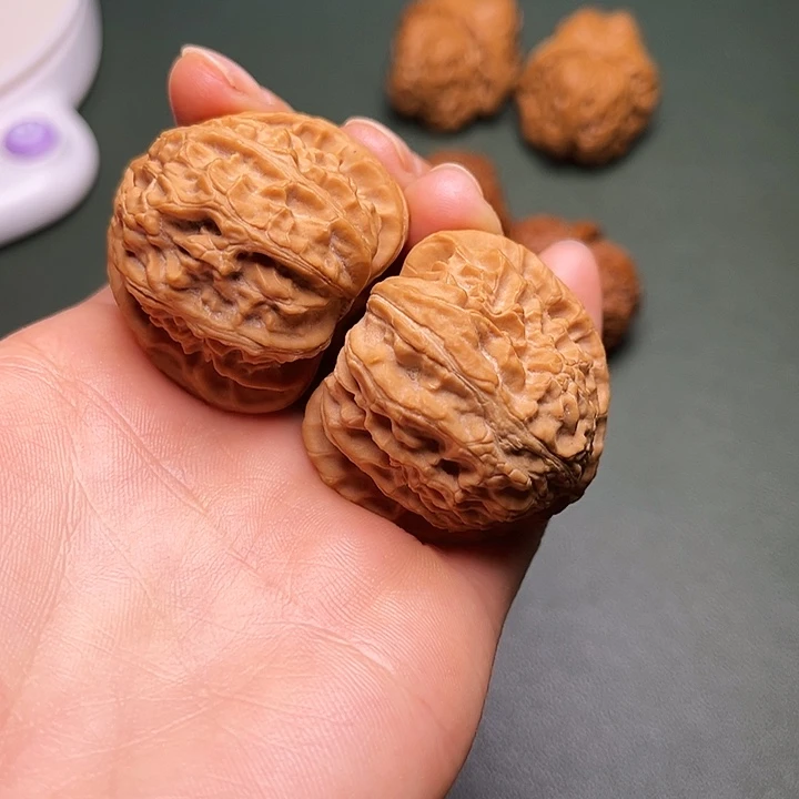 涞水山地果三角白全品