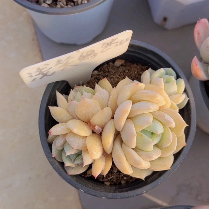 健健康康平平安安