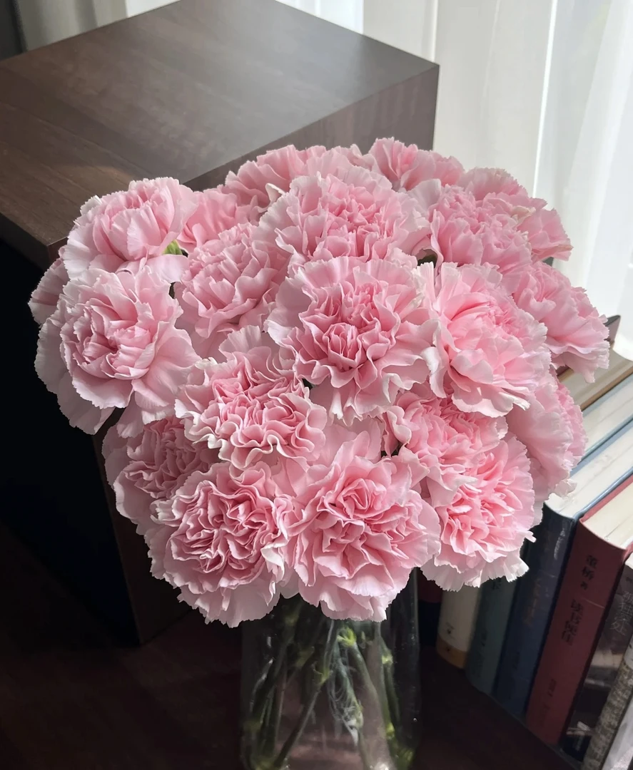 鲜花【粉色康乃馨】同地址两单以上顺丰包邮送货上门+送配草1扎