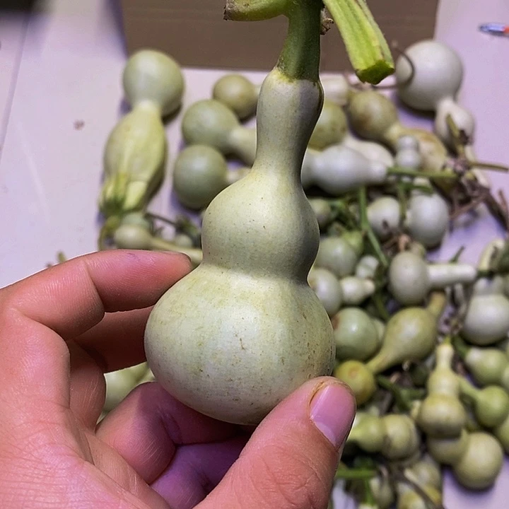 天*哈哈哈哈哈哈哈哈哈