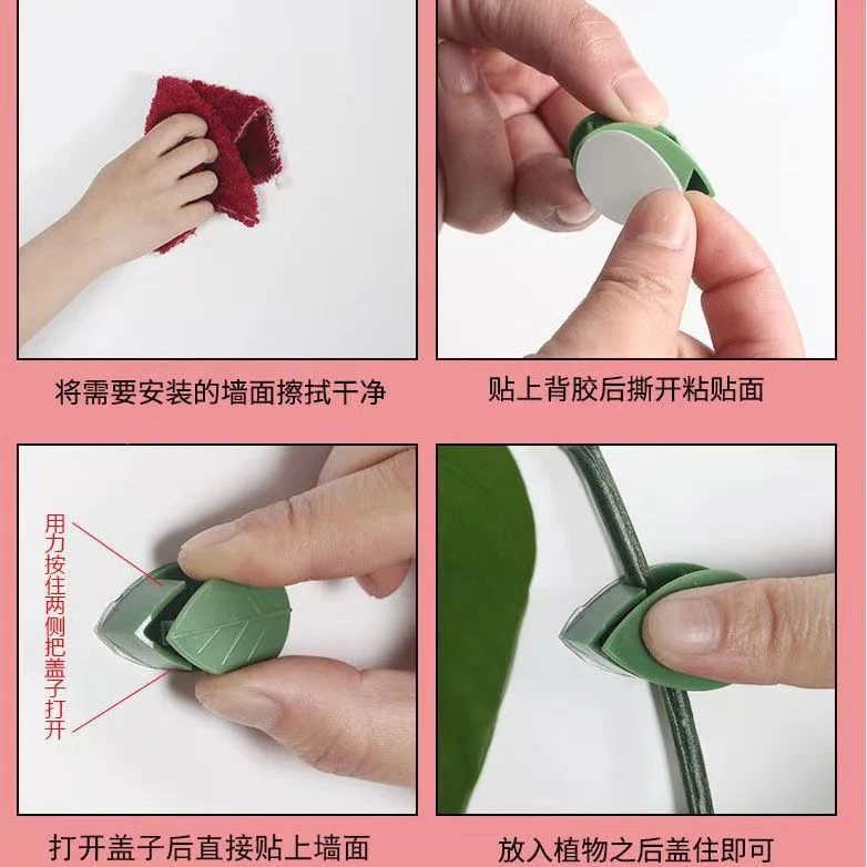 绿萝固定器绿植爬墙用器绿箩墙面固定挂壁卡扣爬藤吸盘攀藤勾夹扣