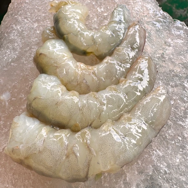 麻虾沙卢虾纯虾仁海虾鲜虾仁减脂餐0添加半斤一盒 博贺港顺丰直发