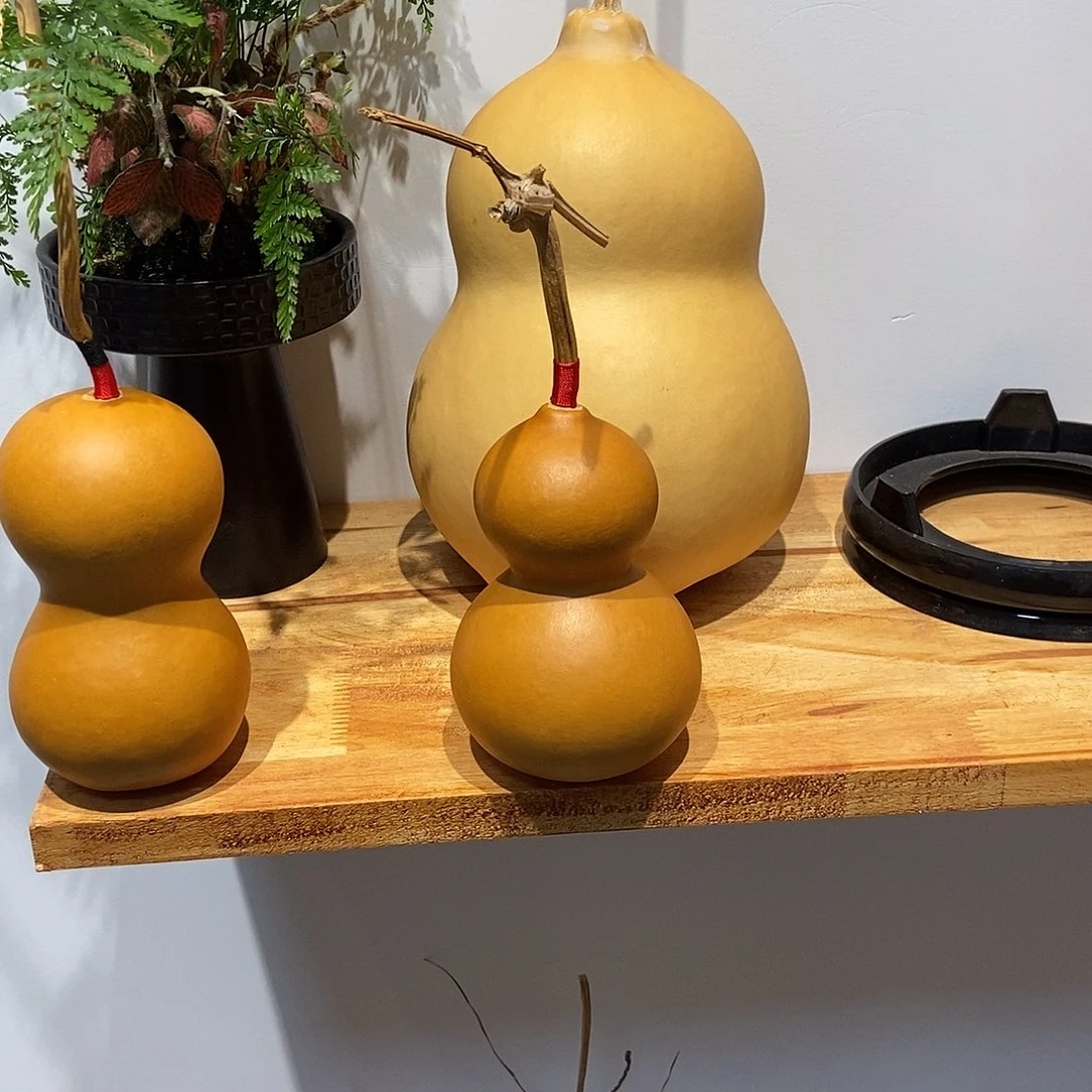 哈哈哈哈哈哈哈哈哈