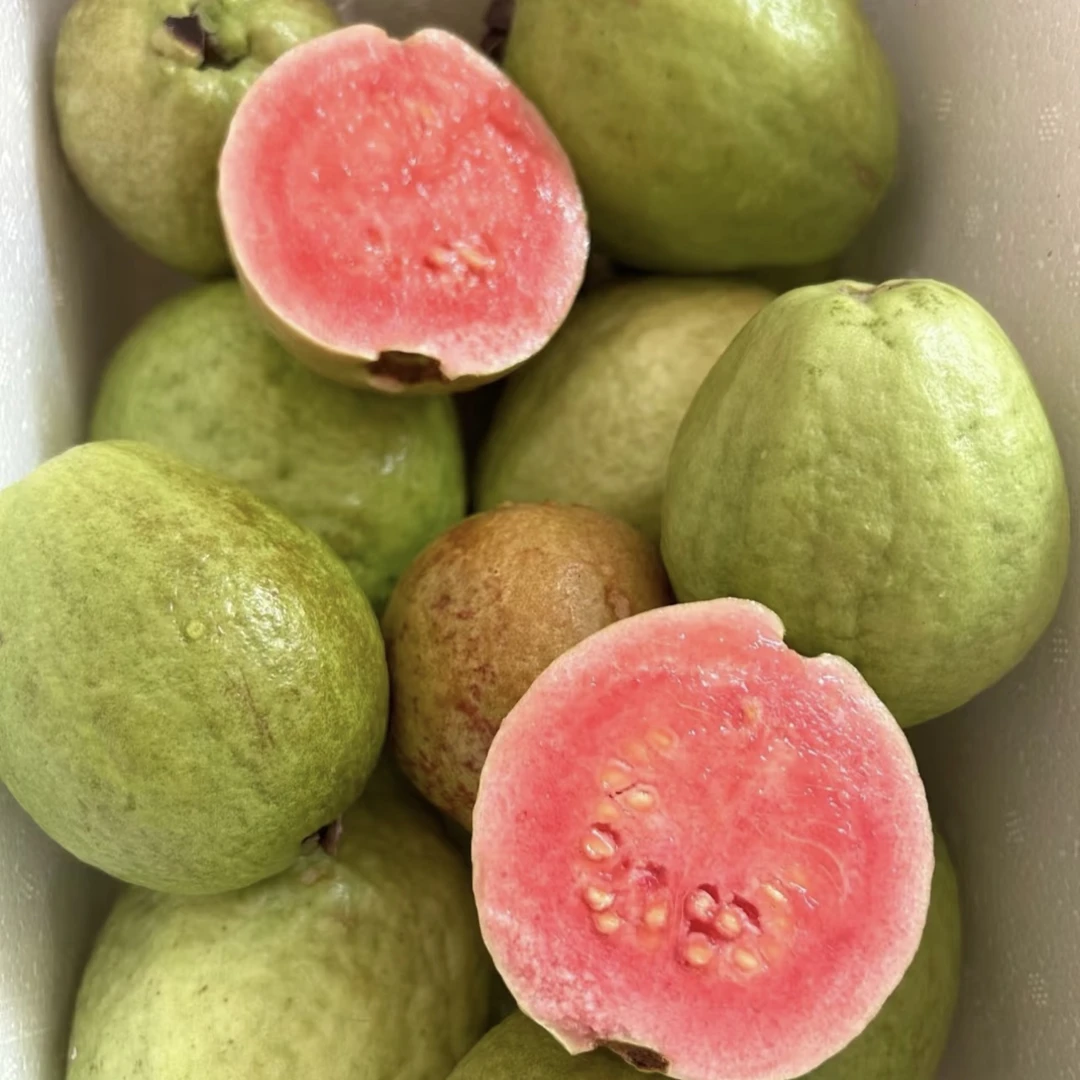 福建树熟红心奶油芭乐（酸口会重；介意慎拍）