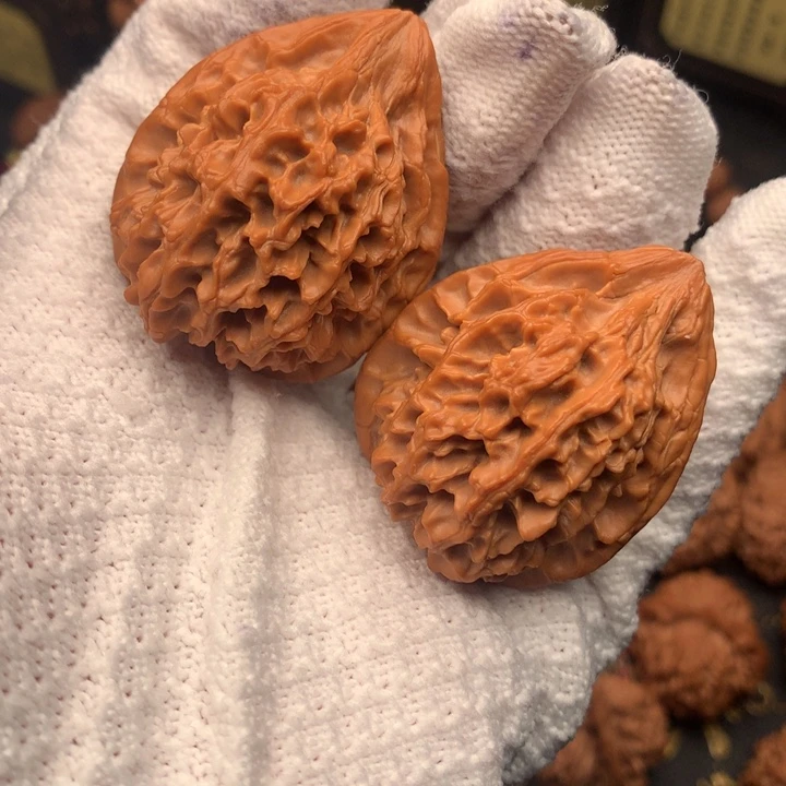 W***e35尺秦岭野生胖鸡