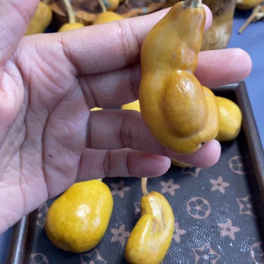 我****看哈哈哈哈哈哈哈哈哈哈哈