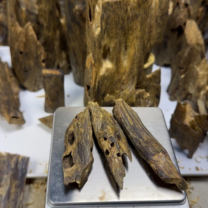 张***清沉香红骨凹身虫漏香21克