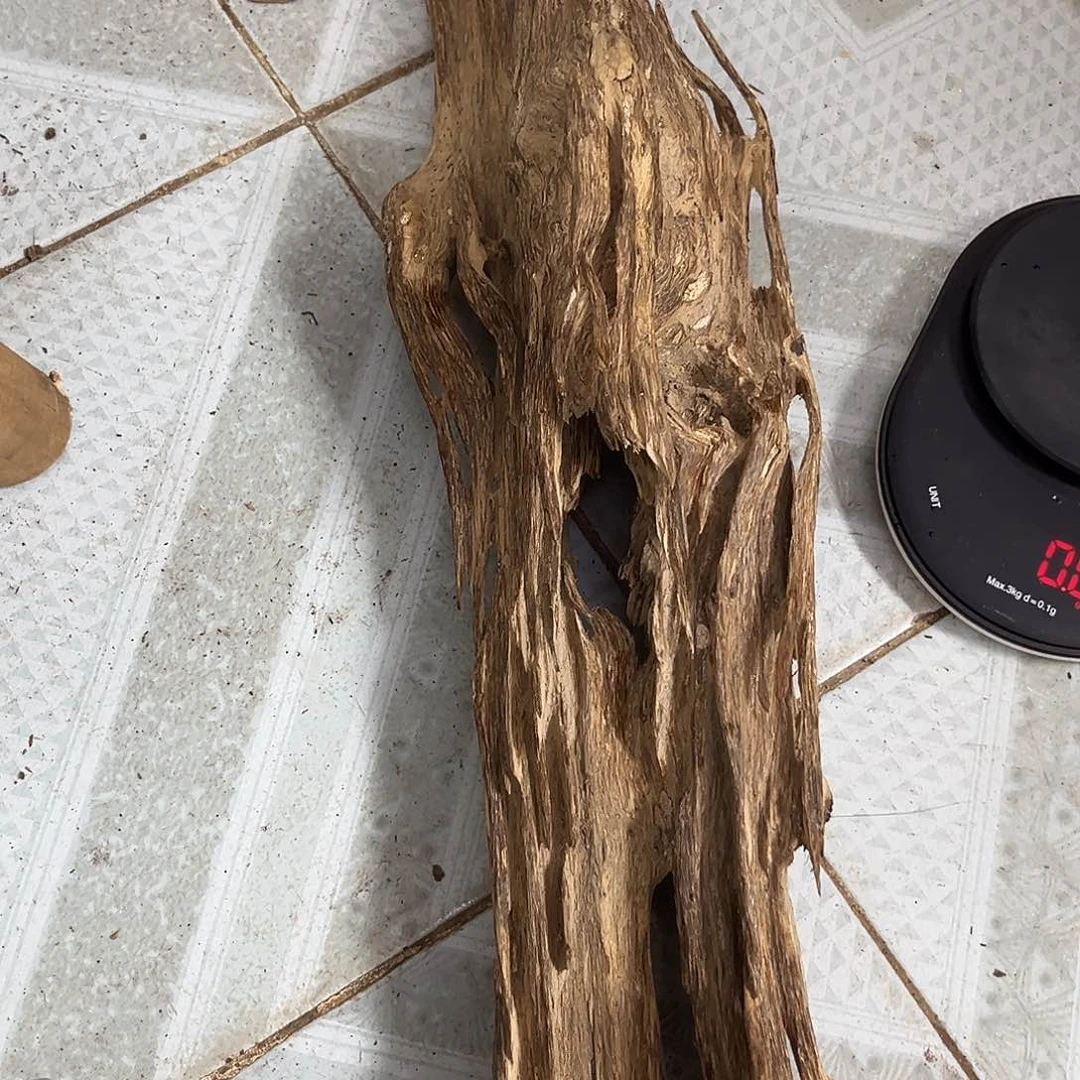 馨***橙香榧木摆件629克海南老料树心