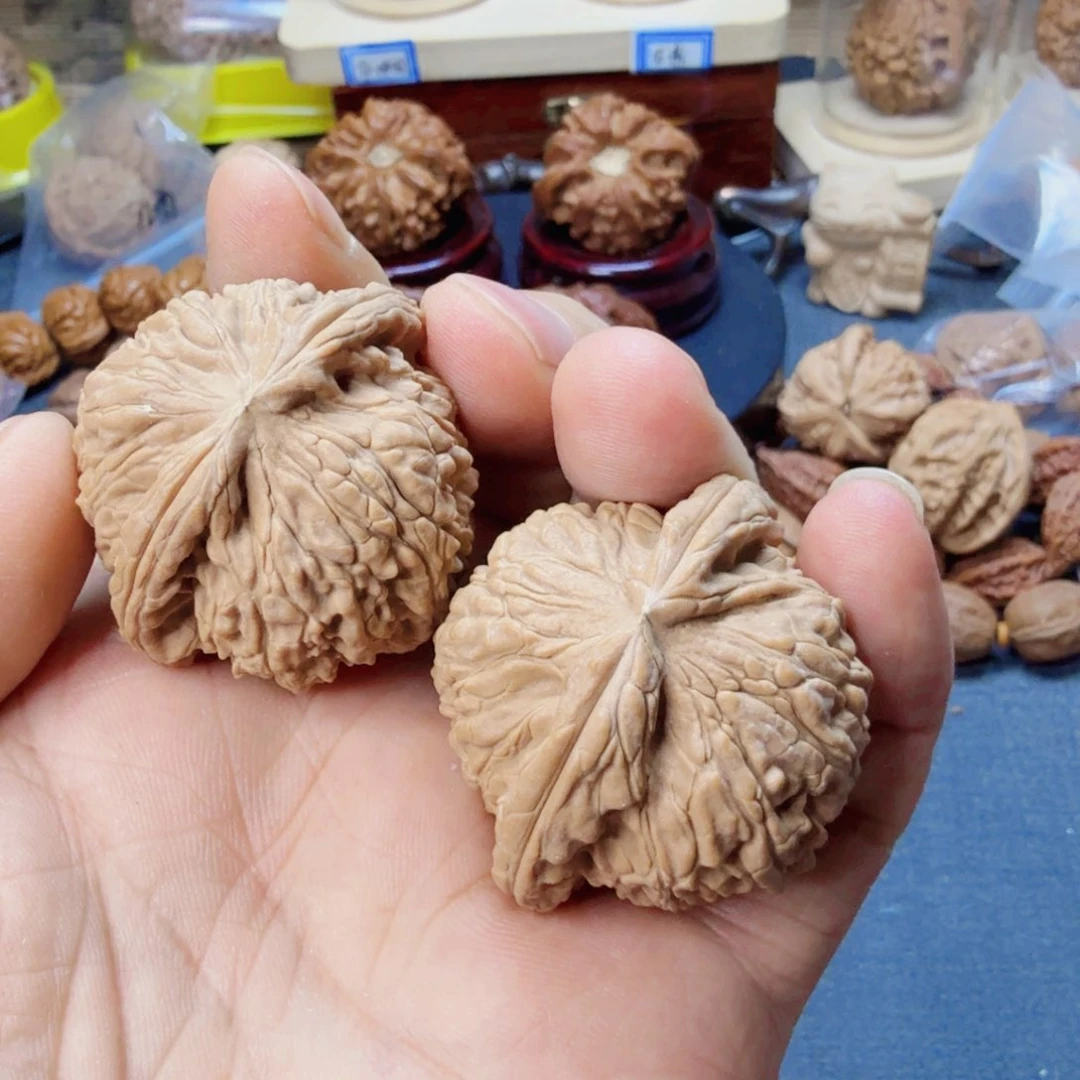 文玩核桃把件白狮子41