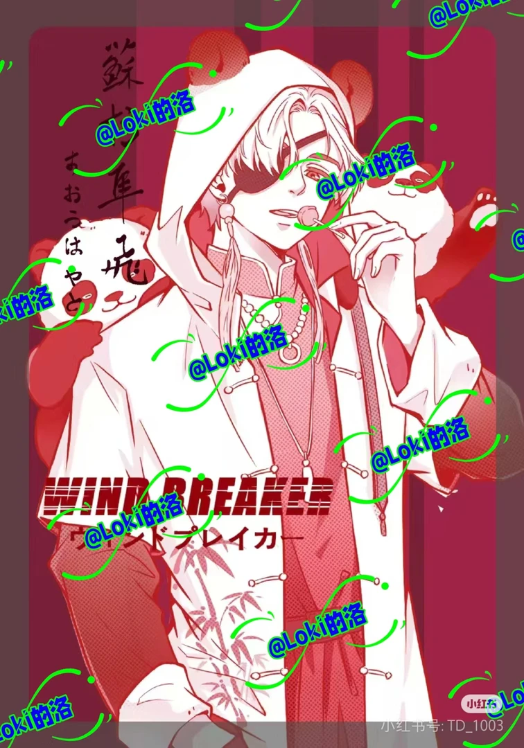 防风铃中华熊猫拍立得