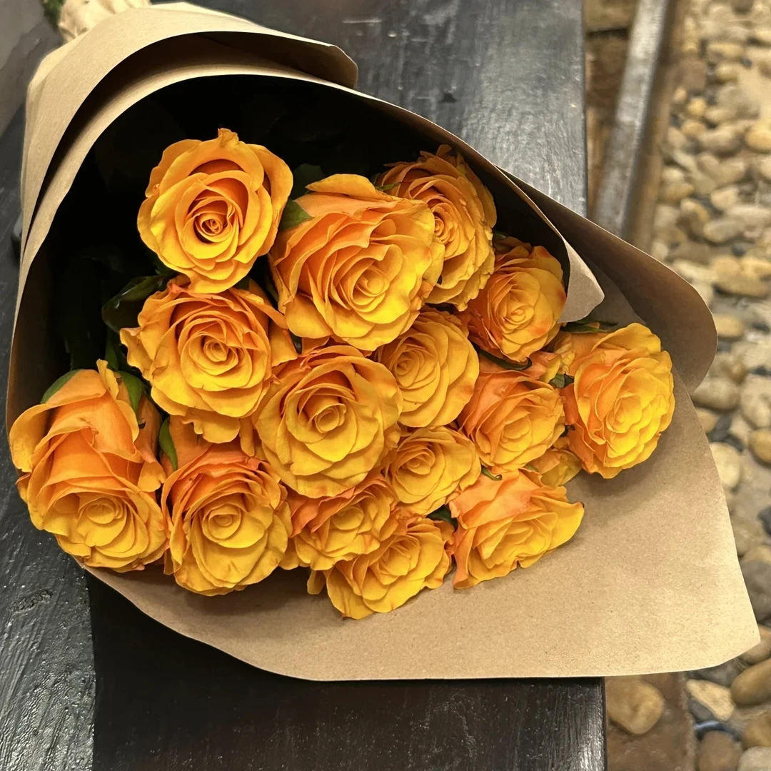 【辉煌单头玫瑰】云南基地直发