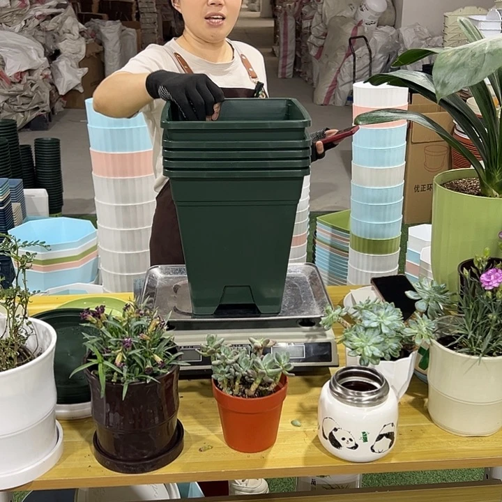 方盆口23高26军绿色无托5只