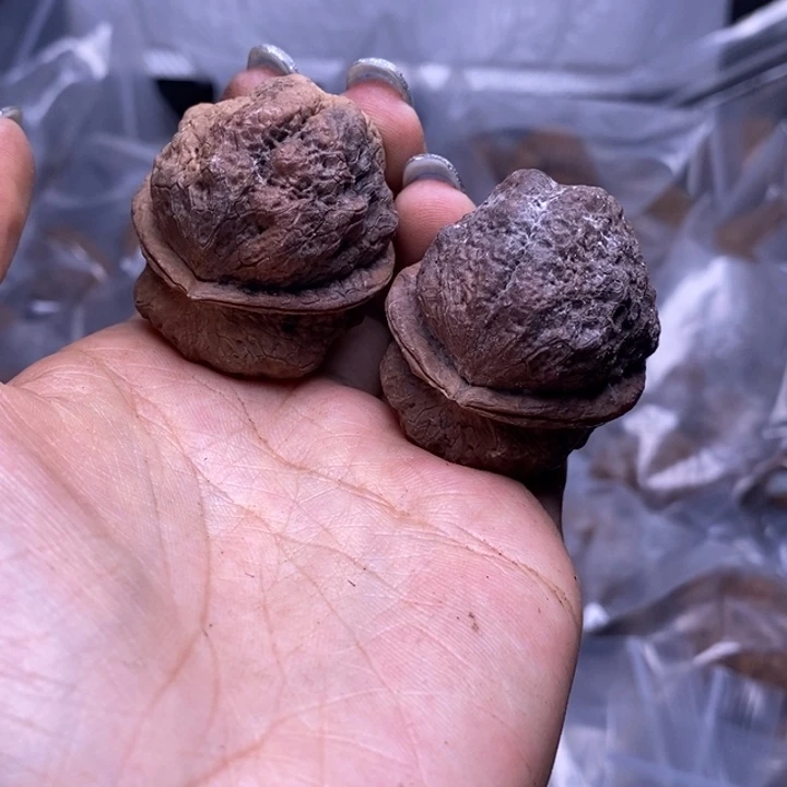 核桃云南野生铁核桃132号40mm