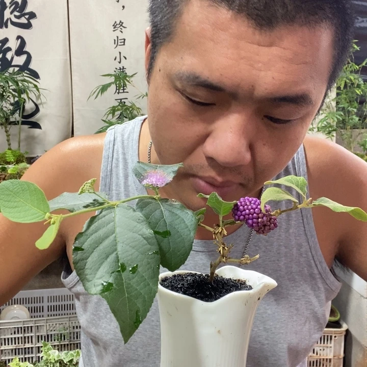 无花朵退款拉黑拉黑14