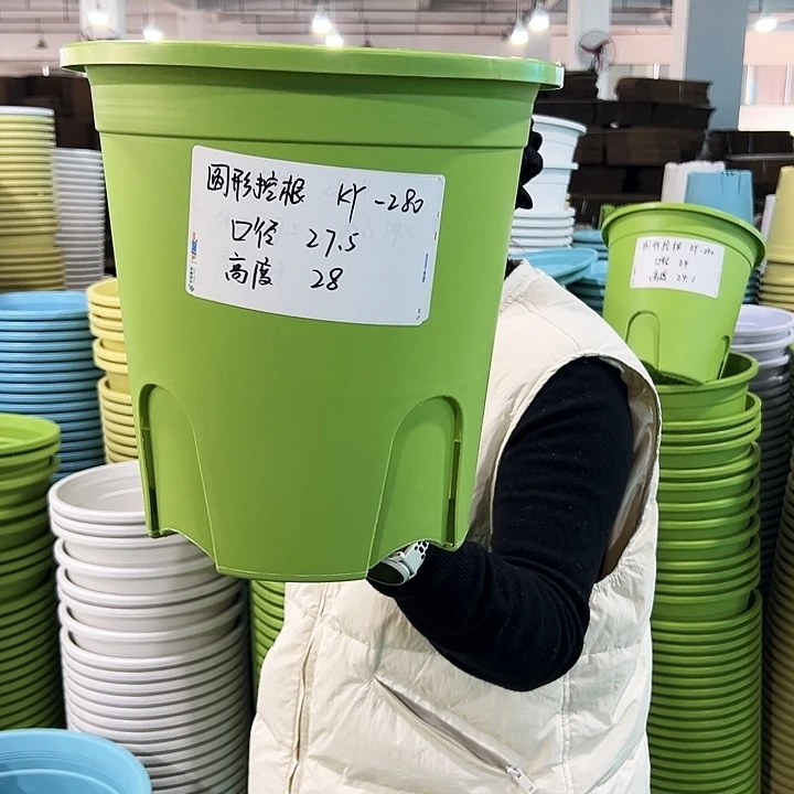 正品圆控口27.5高28绿色无托5只