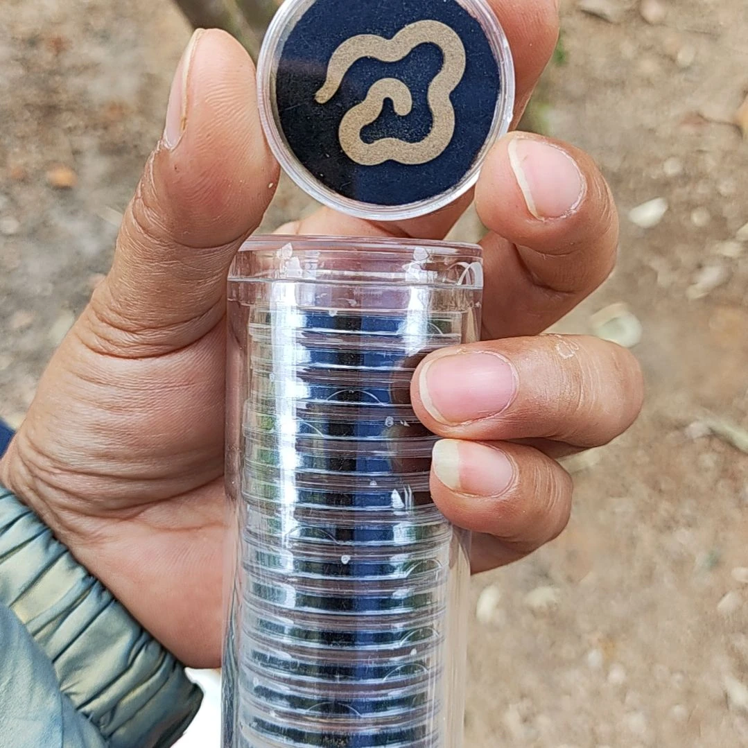 沉香枕沉香沉香线香小祥云17片装