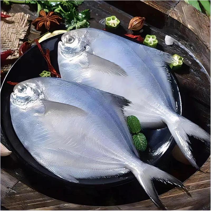15包精选深海小鲳鱼银鲳鱼