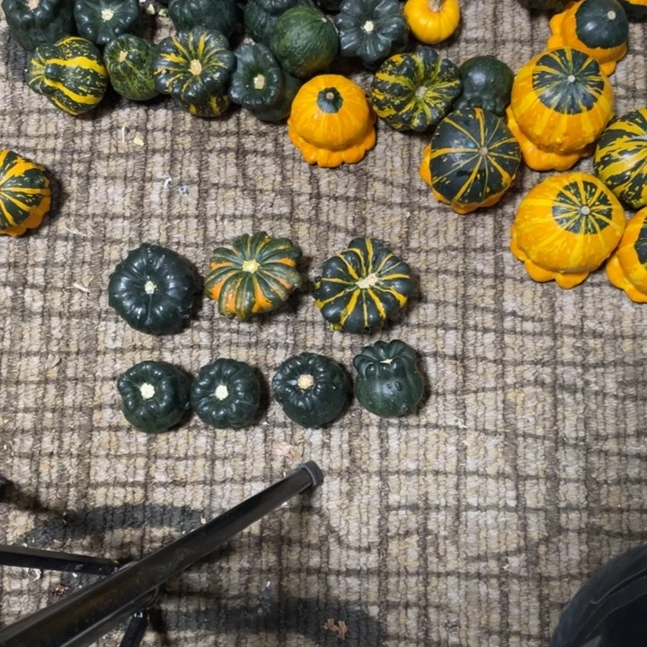 小***子33666555555666666666