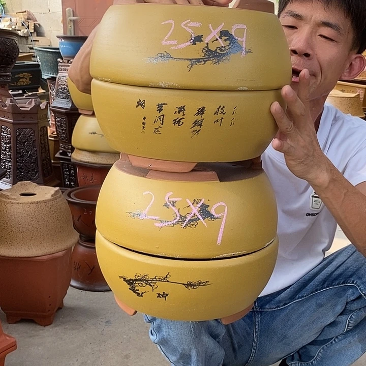 紫砂紫砂紫砂紫砂