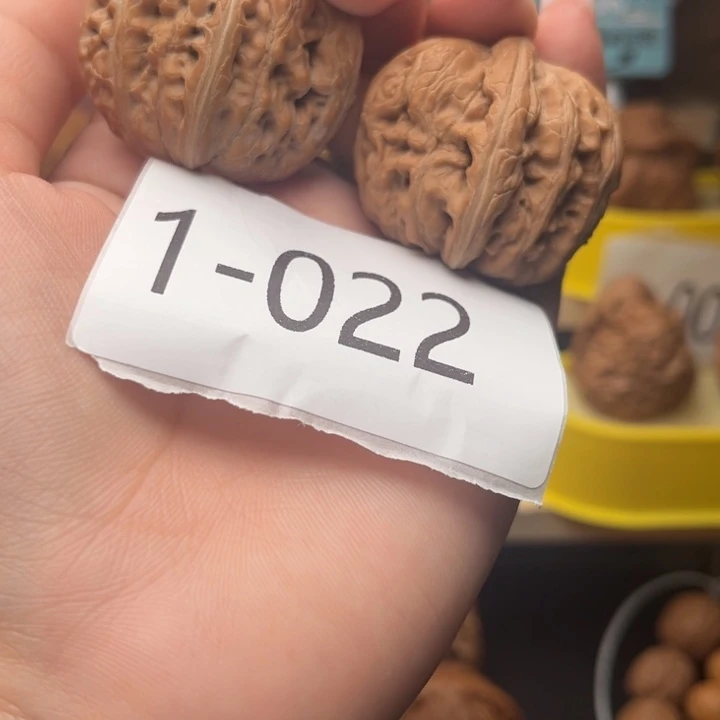 把件文玩核桃40全品元宝1022