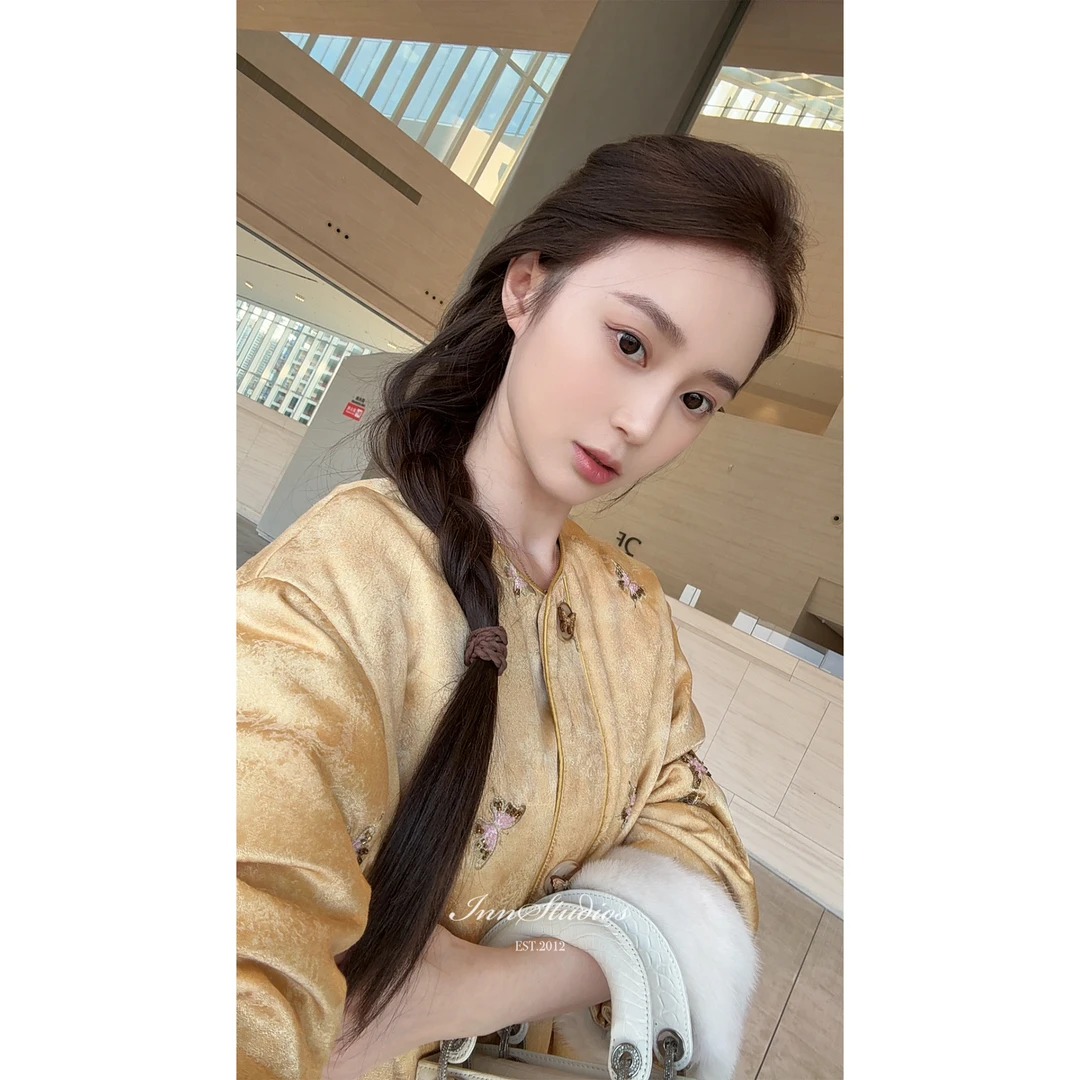 Innstudios 金色蝴蝶刺绣国风鹅绒外套