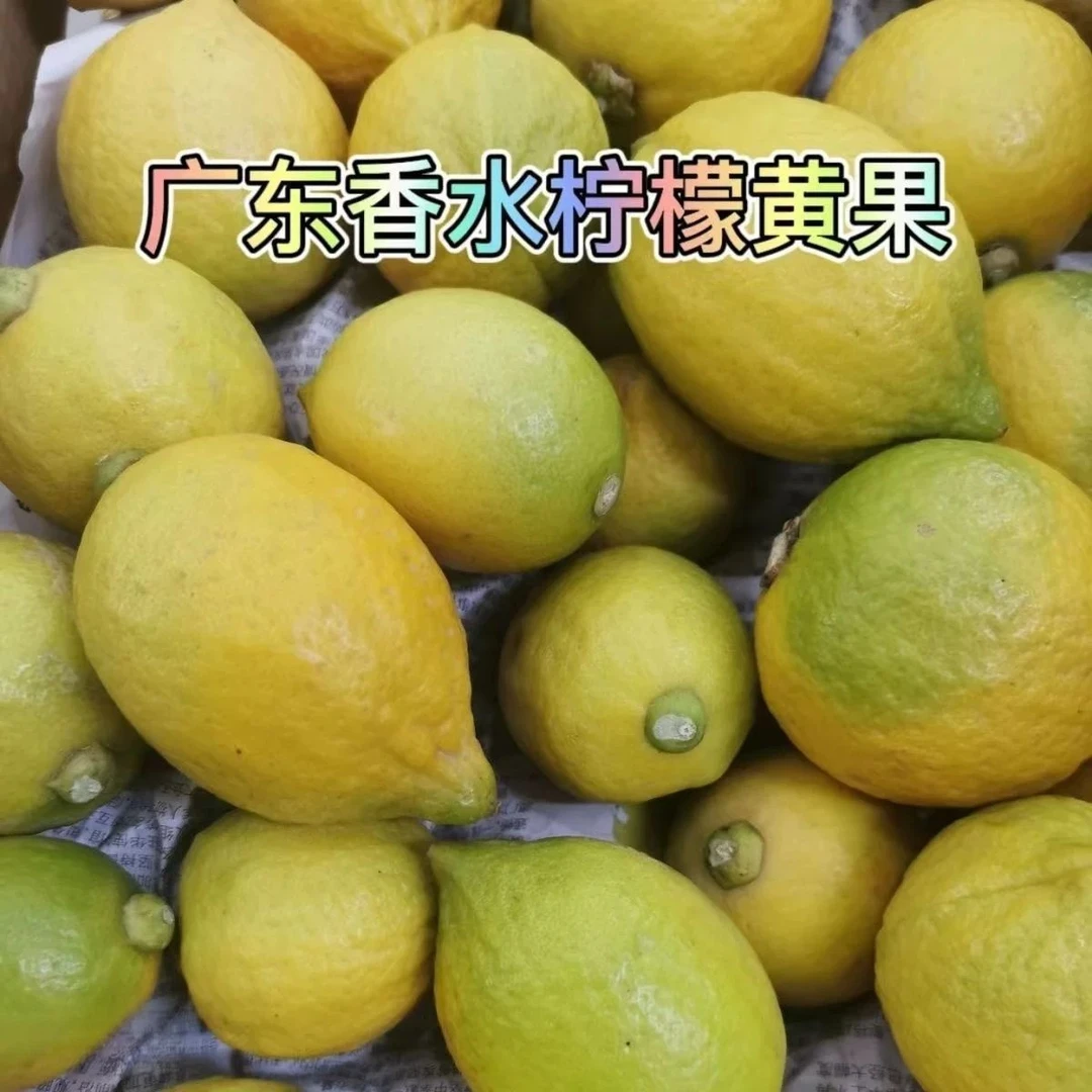 广东香水柠檬黄柠檬新鲜皮香柠檬茶店专用香水黄柠檬鲜果青黄柠檬