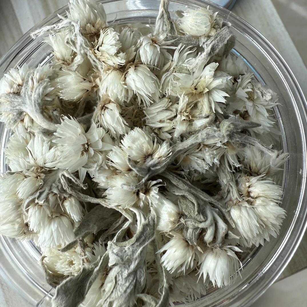 甘孜州海螺沟冰川雪菊25g 土特产
