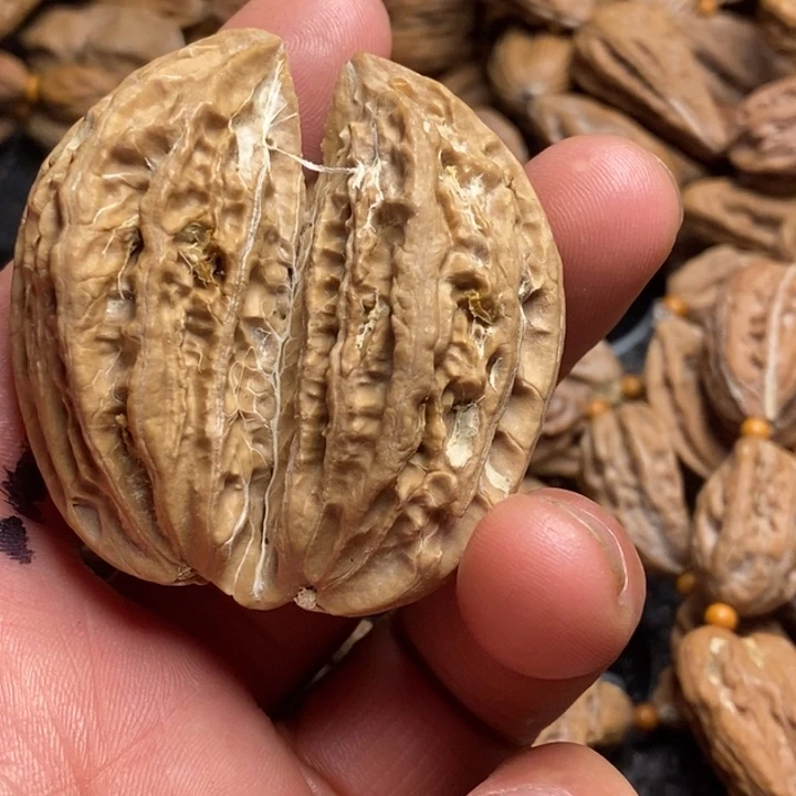 吊坠文玩核桃娜姐277