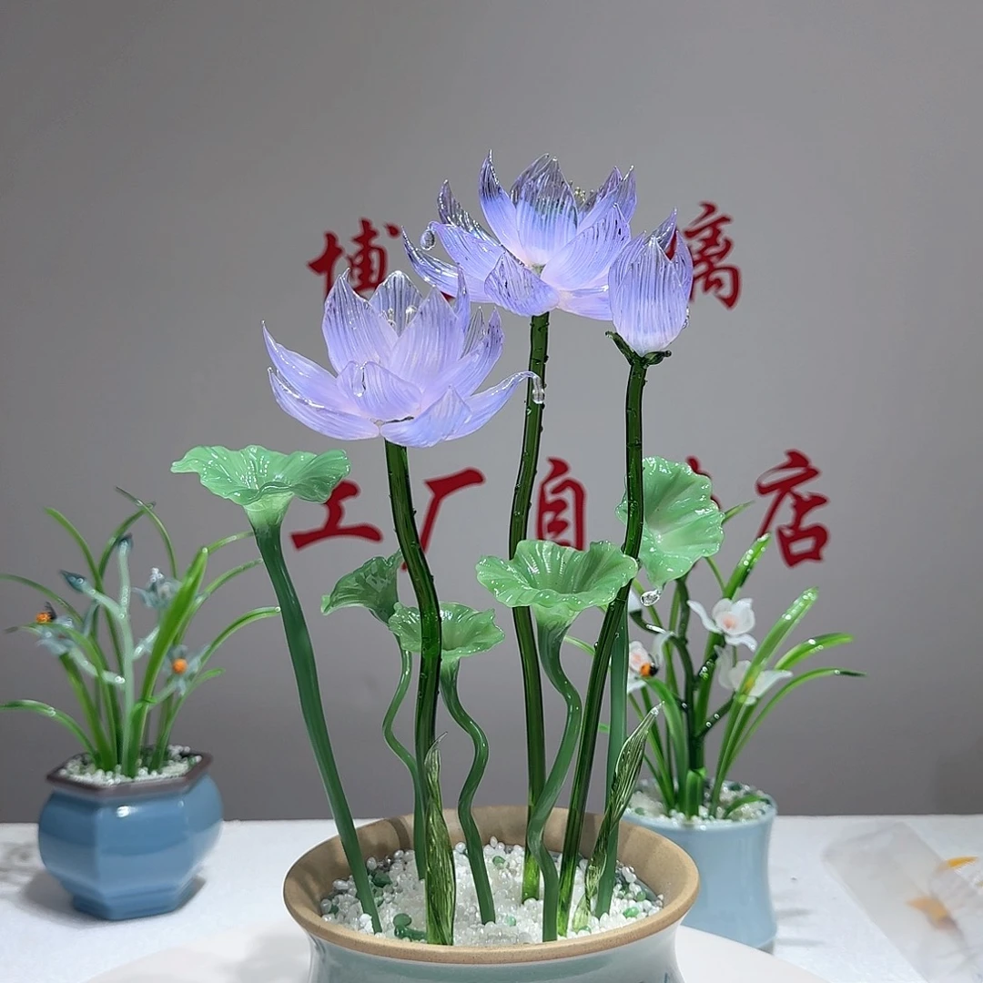 琉璃琉璃荷花2222
