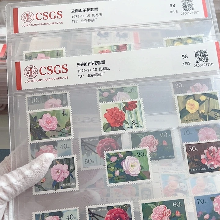 T37山茶花评级98邮票